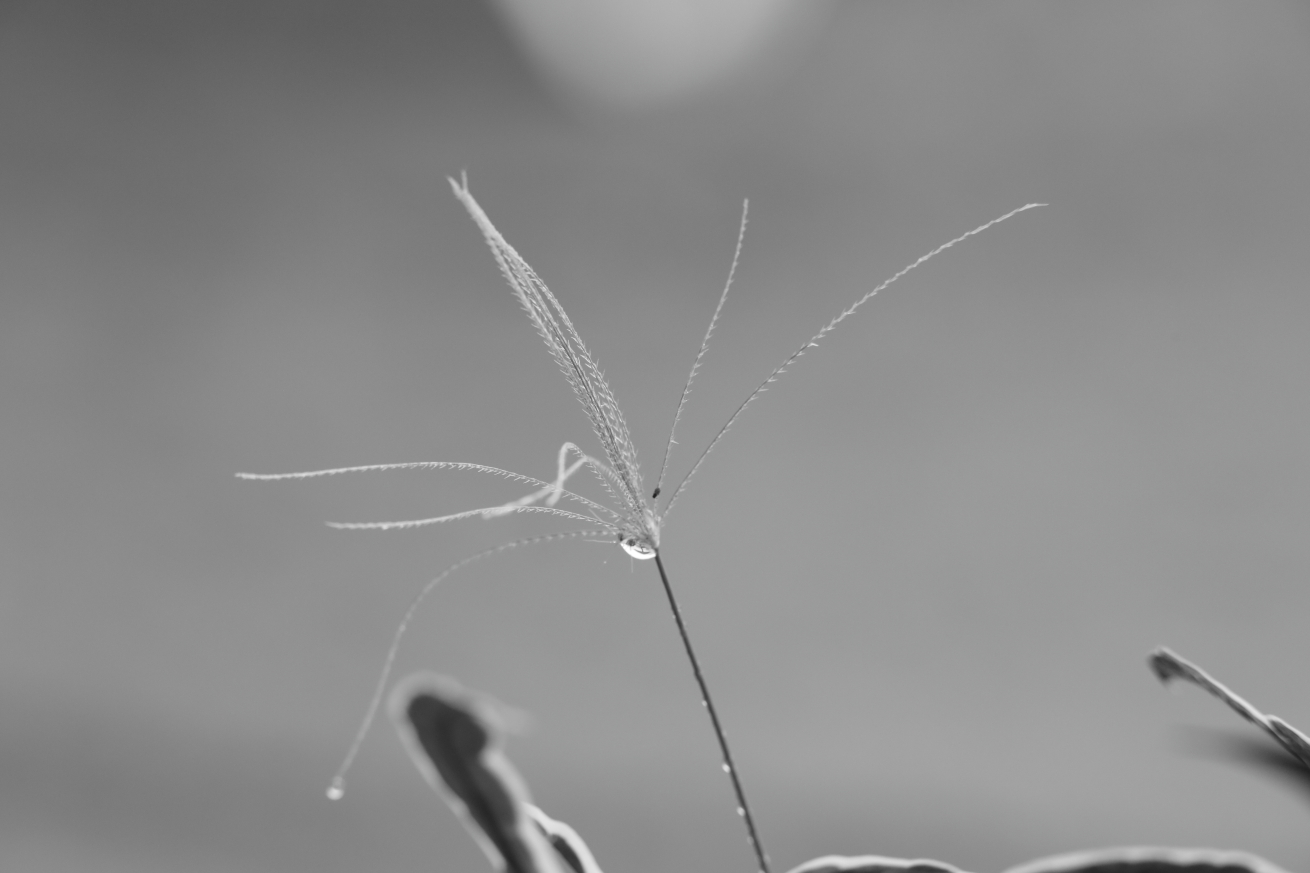 2016 09 11 HTP 0242